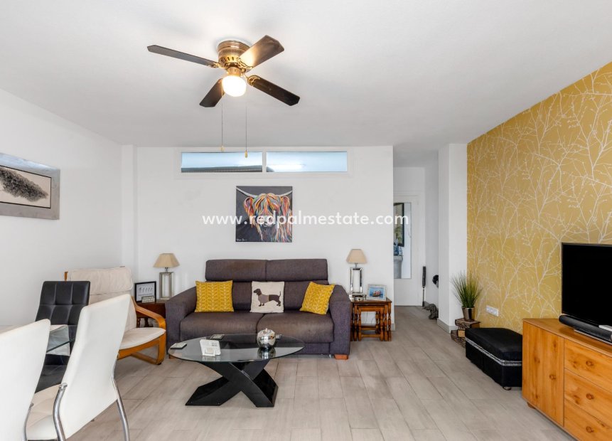 Reventa - Apartmentos -
Torrevieja - Playa del Cura