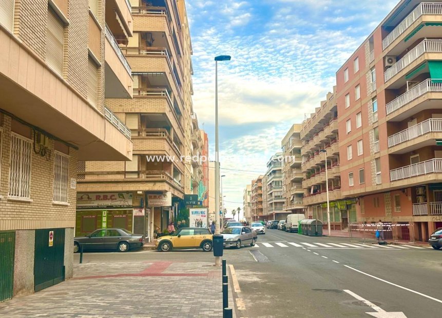 Reventa - Apartmentos -
Torrevieja - Playa del Cura