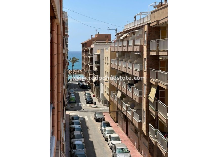 Reventa - Apartmentos -
Torrevieja - Playa del Cura
