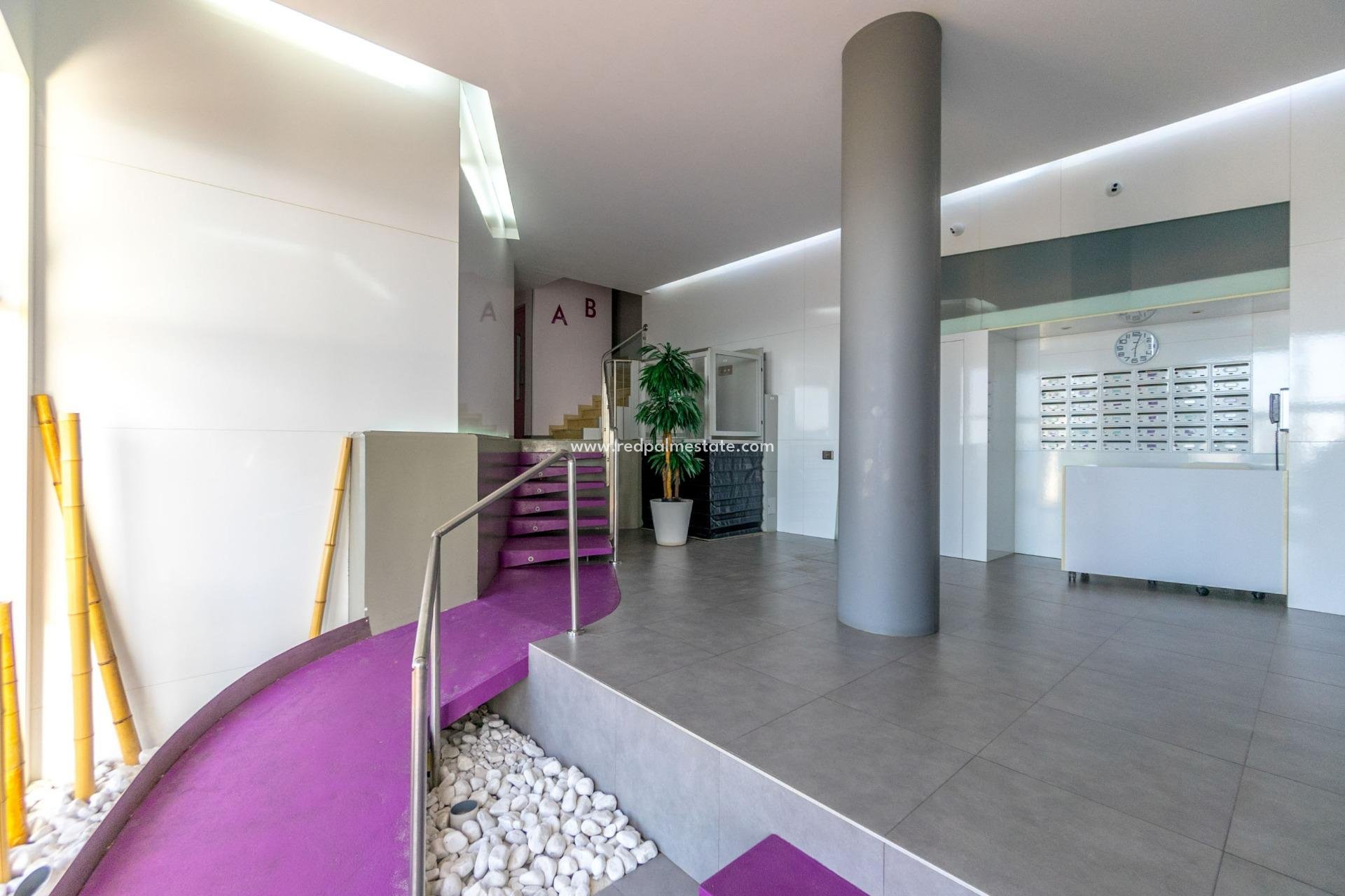 Reventa - Apartmentos -
Torrevieja - Playa del cura