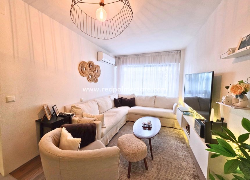 Reventa - Apartmentos -
Torrevieja - Playa del Cura