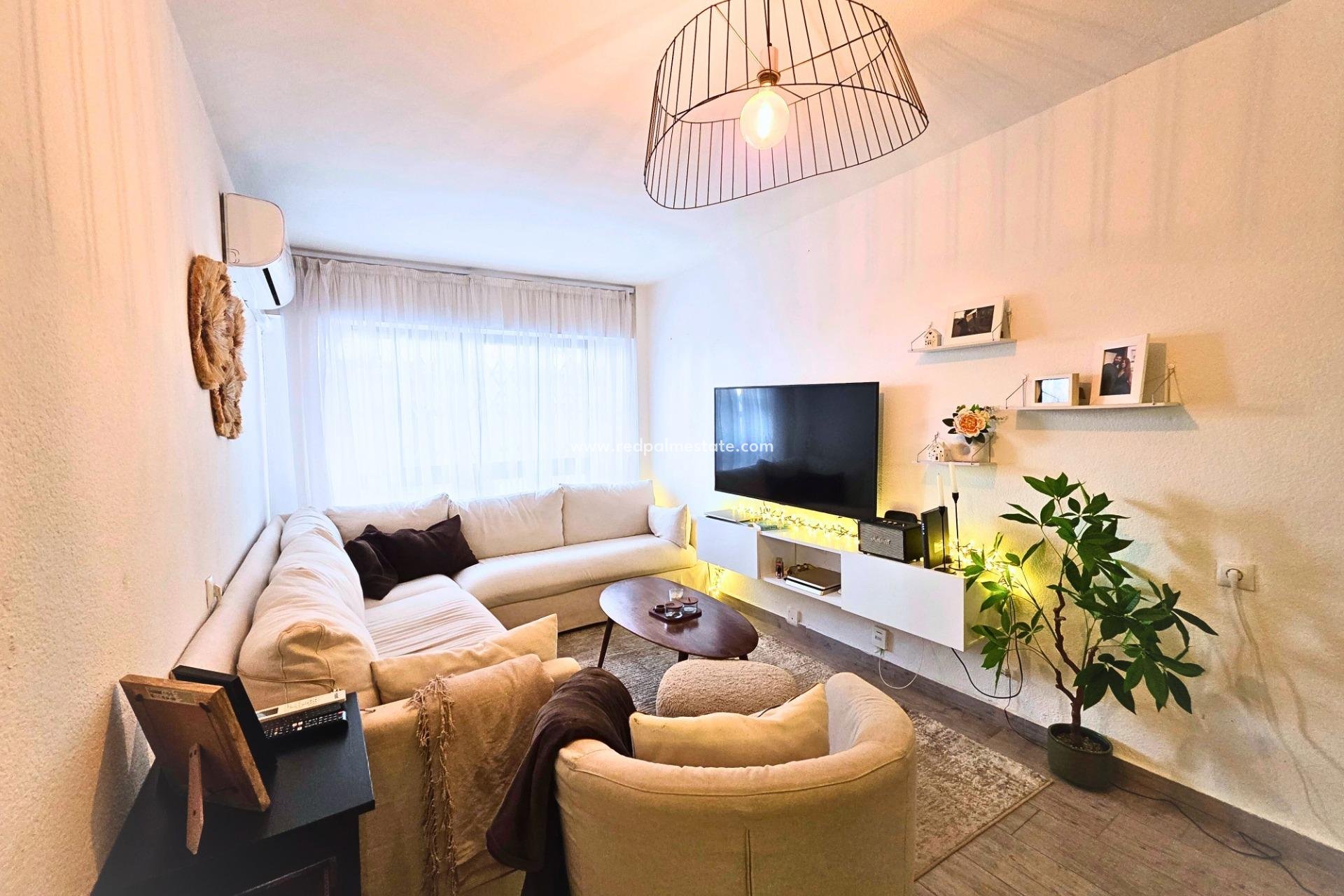 Reventa - Apartmentos -
Torrevieja - Playa del Cura