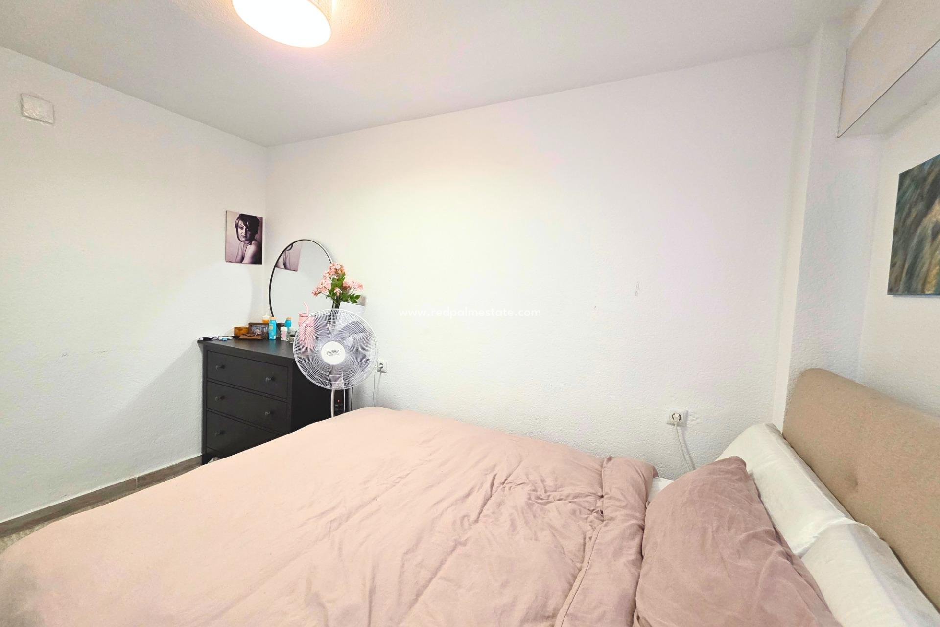 Reventa - Apartmentos -
Torrevieja - Playa del Cura