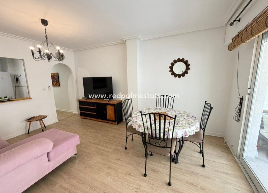 Reventa - Apartmentos -
Torrevieja - Playa del Cura