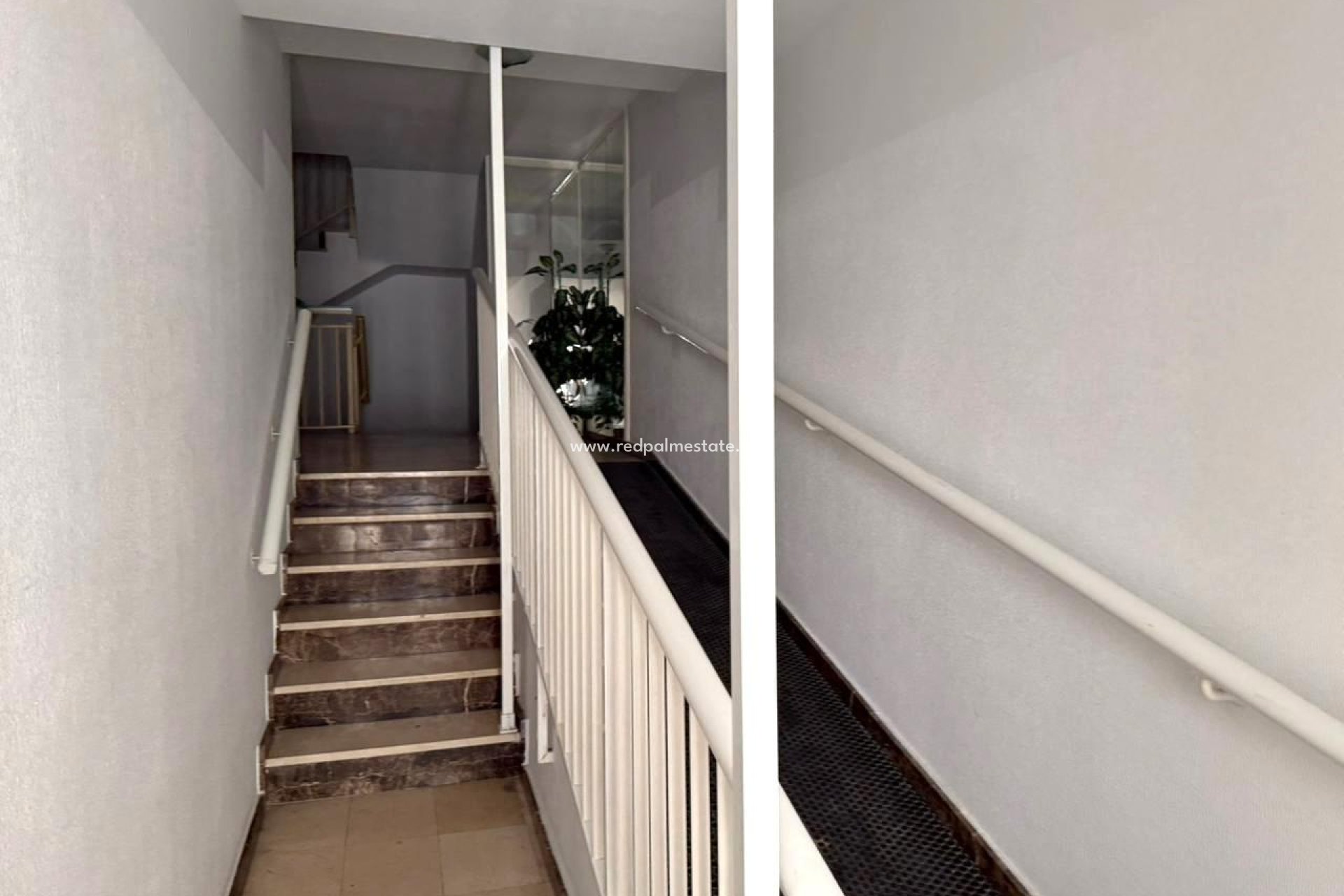 Reventa - Apartmentos -
Torrevieja - Playa del Cura