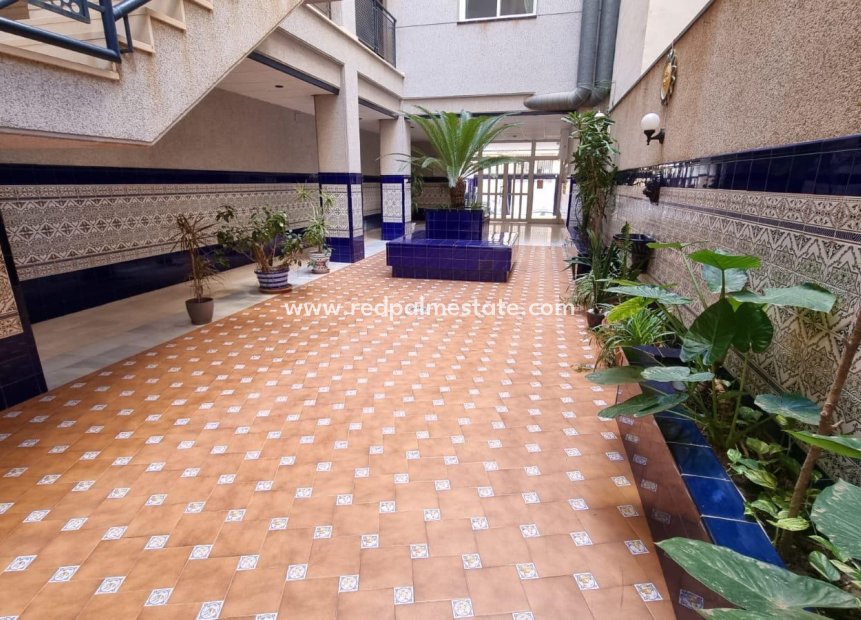 Reventa - Apartmentos -
Torrevieja - Playa del Cura