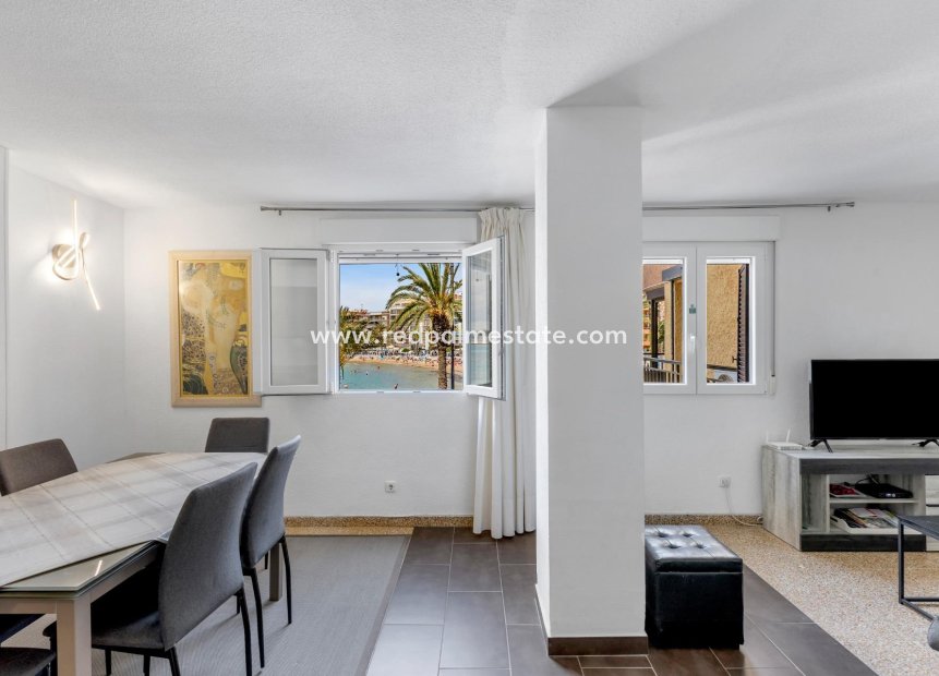 Reventa - Apartmentos -
Torrevieja - Playa del Cura