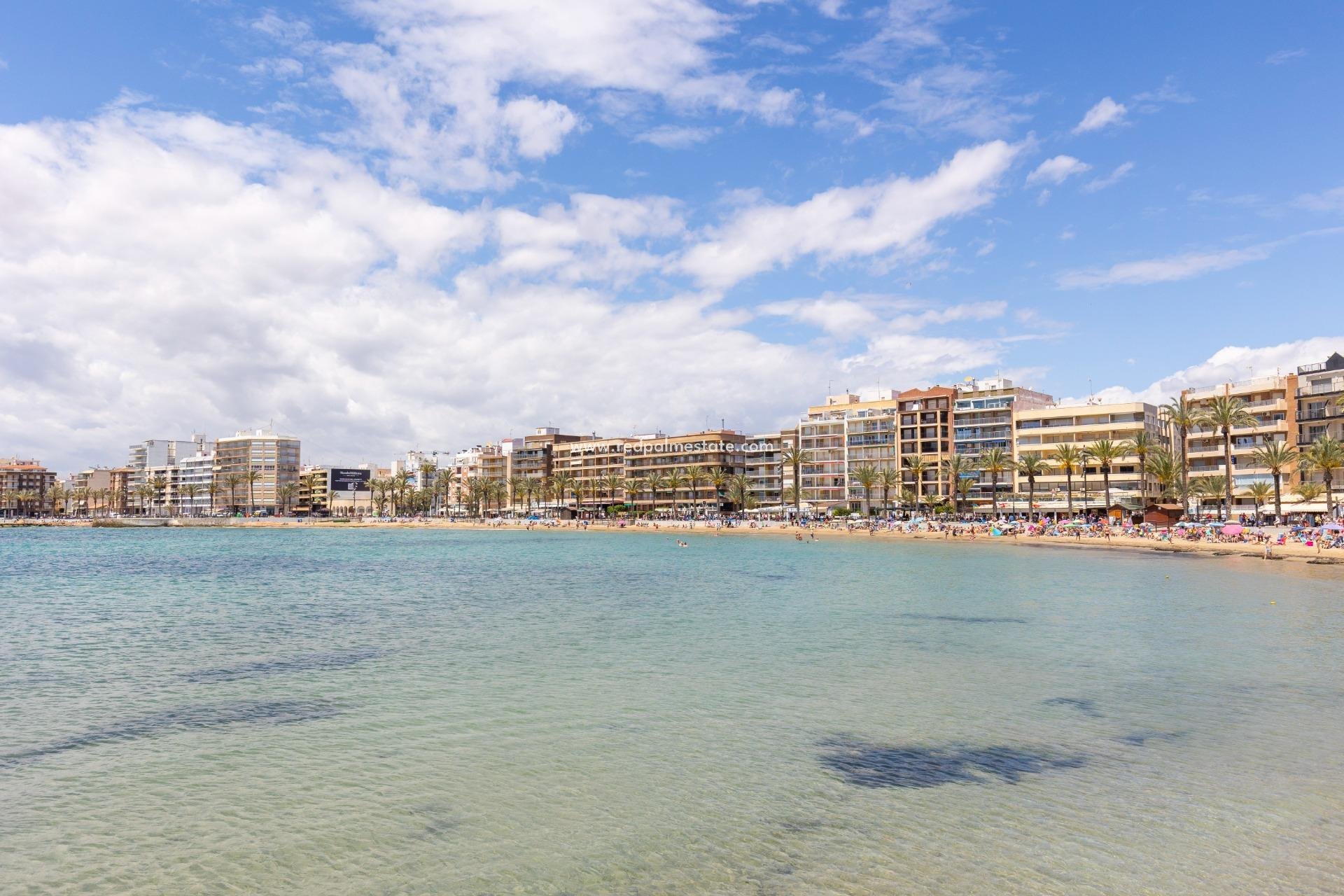 Reventa - Apartmentos -
Torrevieja - Playa del Cura