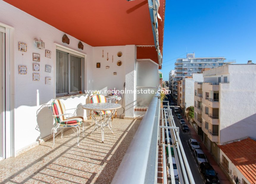 Reventa - Apartmentos -
Torrevieja - Playa del Cura