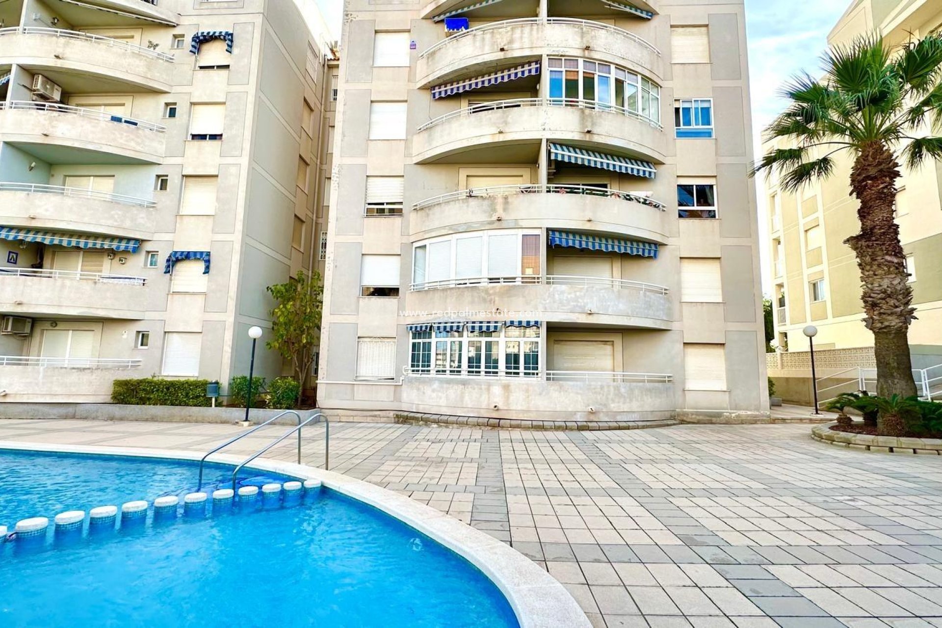 Reventa - Apartmentos -
Torrevieja - Playa del Cura