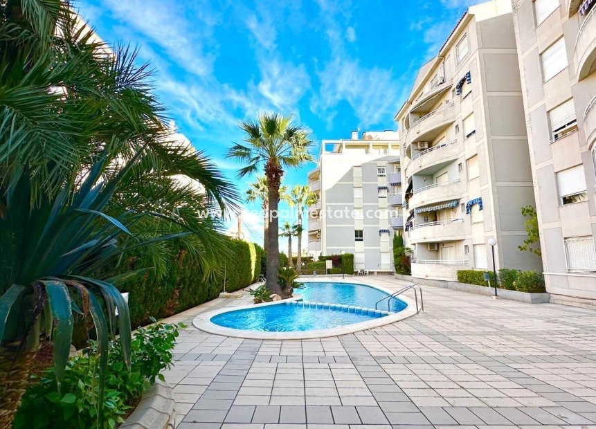 Reventa - Apartmentos -
Torrevieja - Playa del Cura