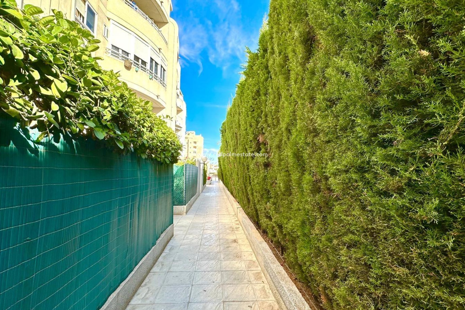 Reventa - Apartmentos -
Torrevieja - Playa del Cura