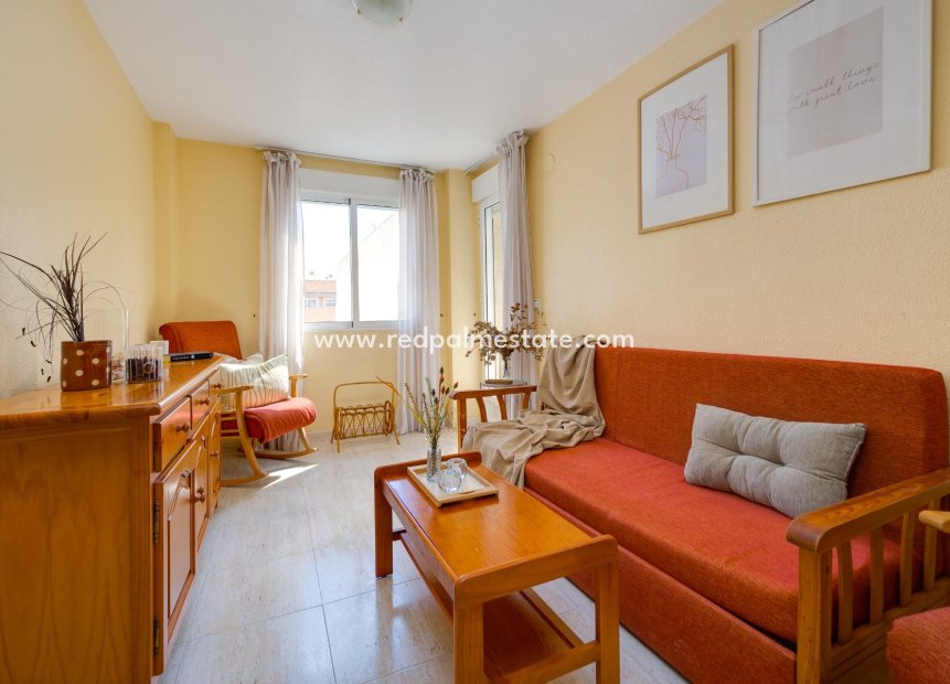 Reventa - Apartmentos -
Torrevieja - Playa del Cura