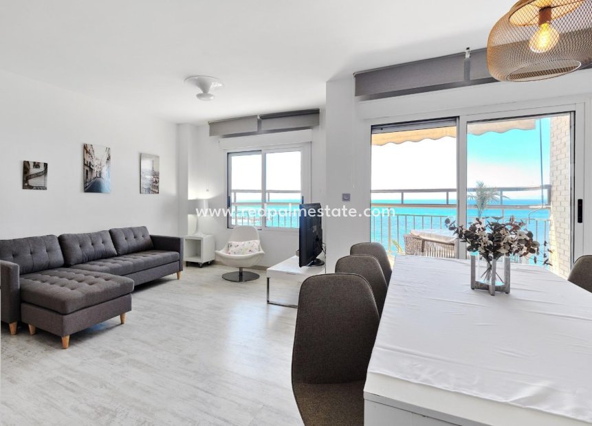 Reventa - Apartmentos -
Torrevieja - Playa del Cura