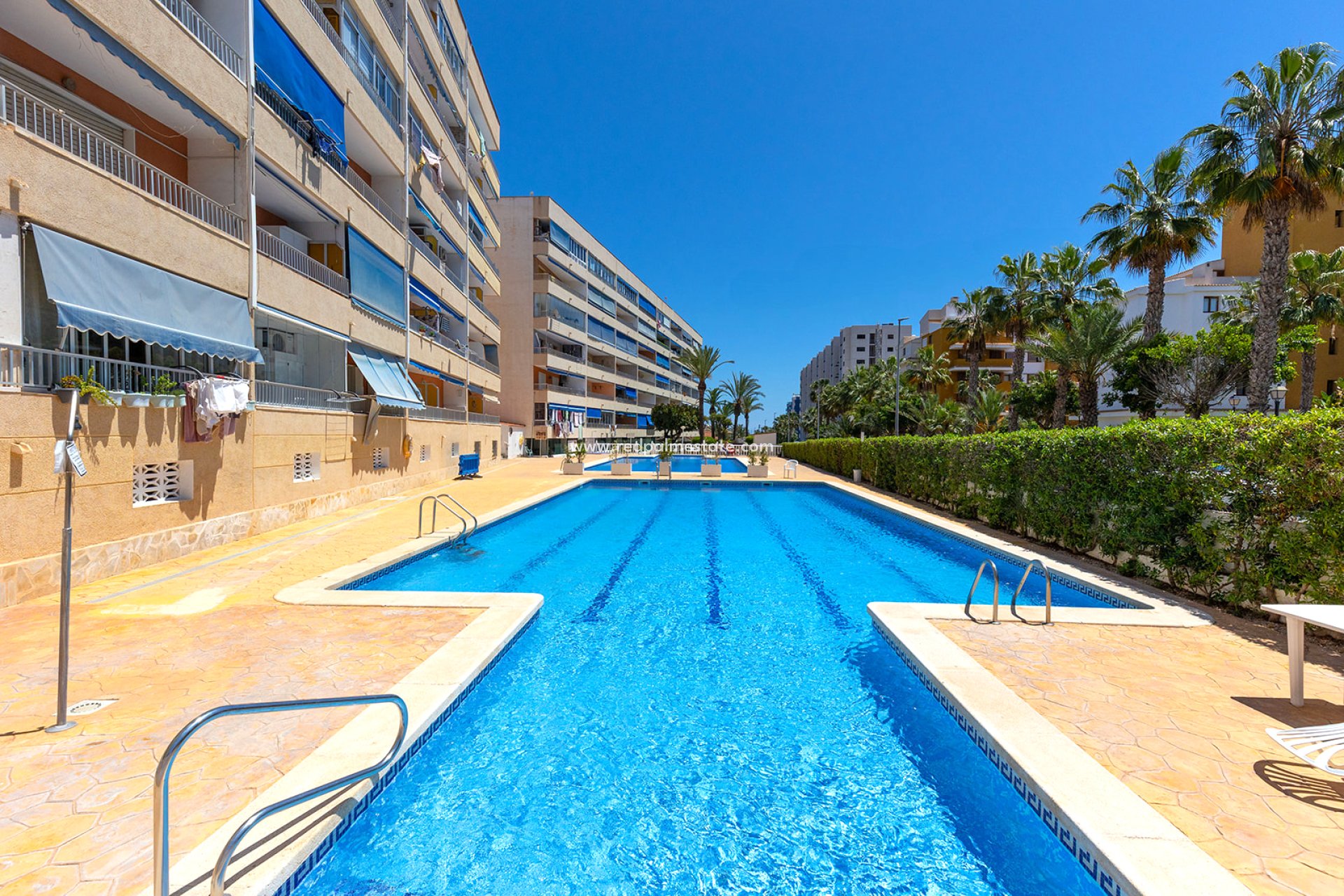 Reventa - Apartmentos -
Torrevieja - Punta Prima Torrevieja
