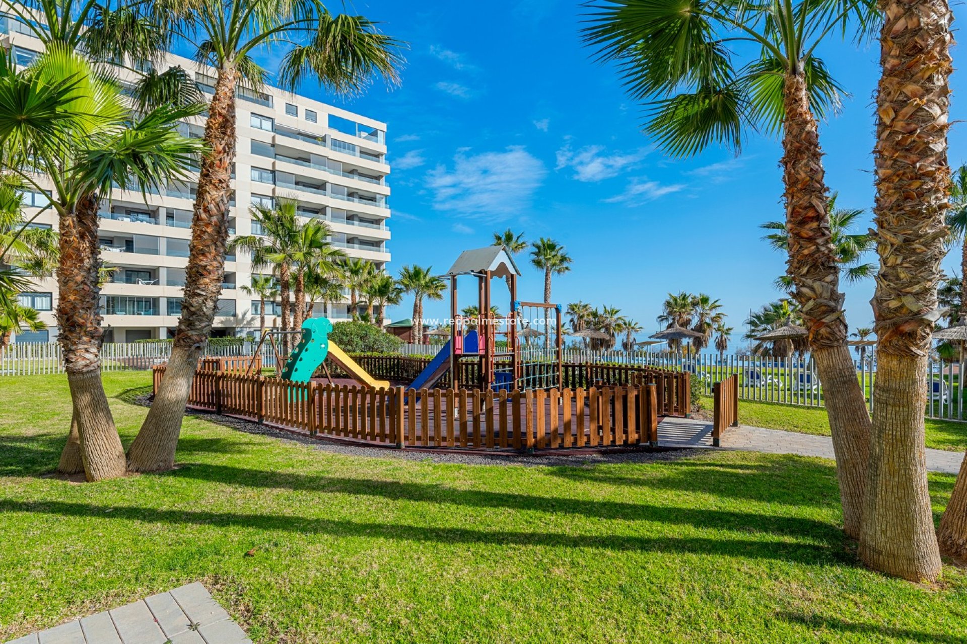 Reventa - Apartmentos -
Torrevieja - Punta prima