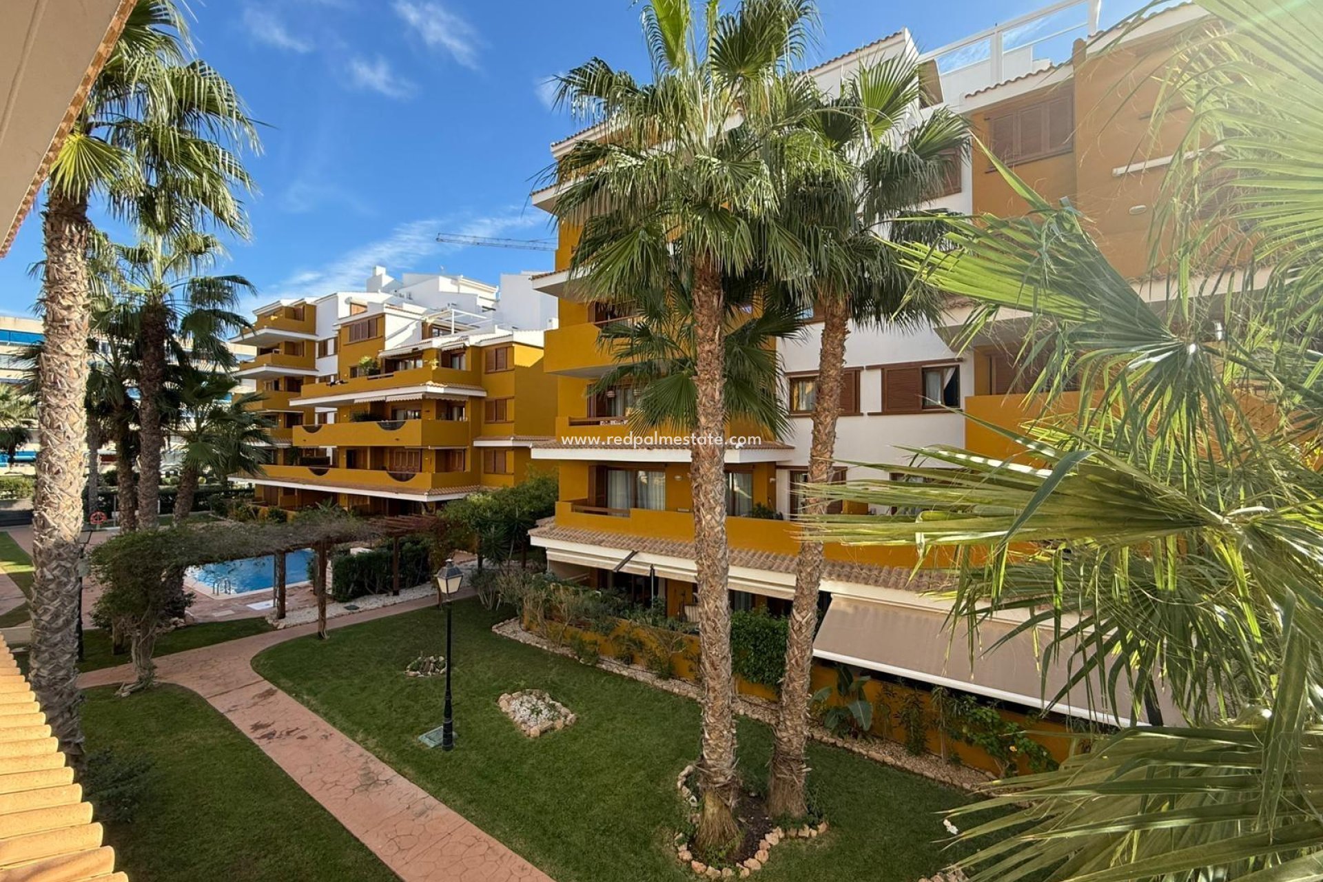 Reventa - Apartmentos -
Torrevieja - Punta prima