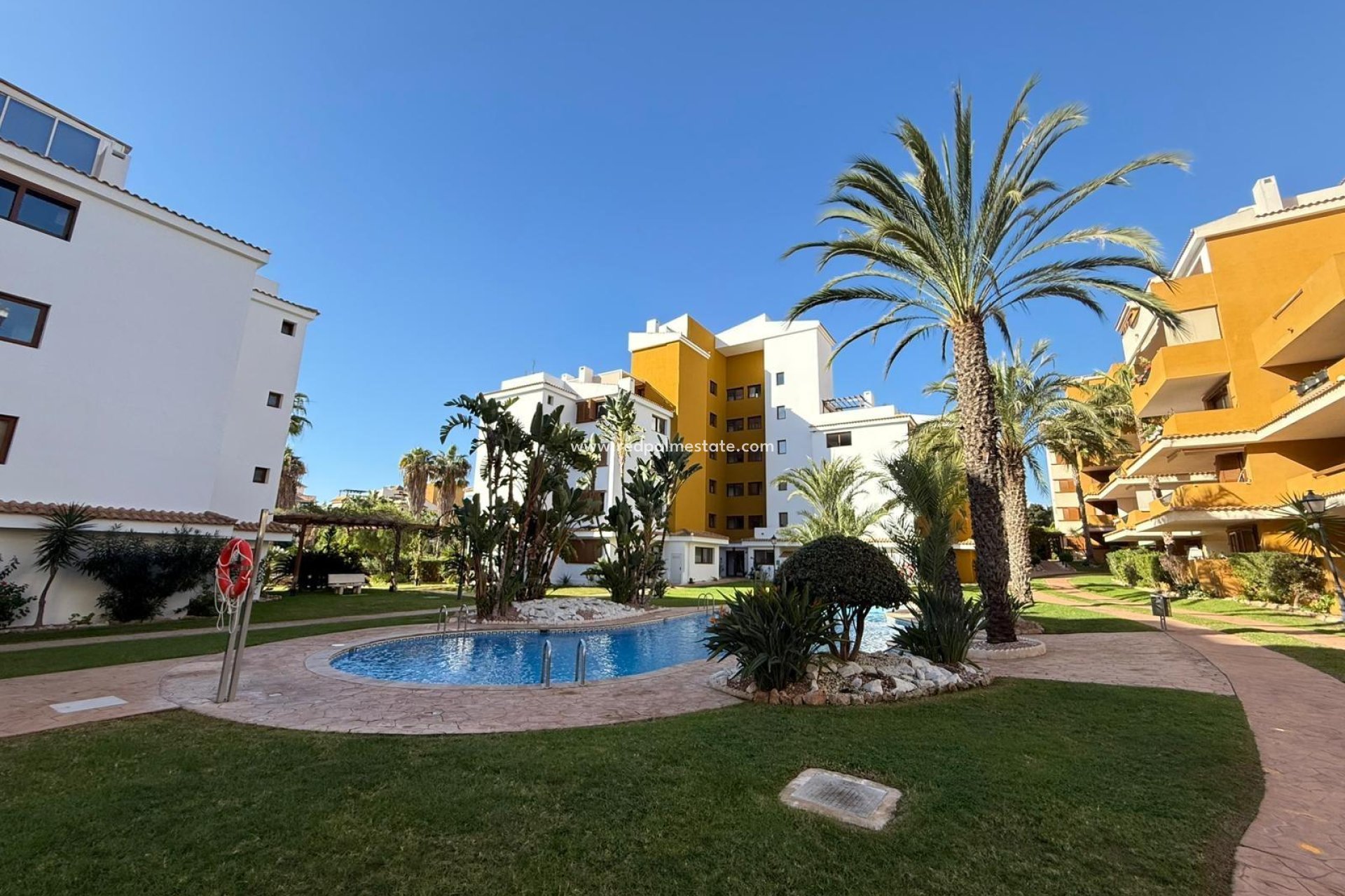 Reventa - Apartmentos -
Torrevieja - Punta prima