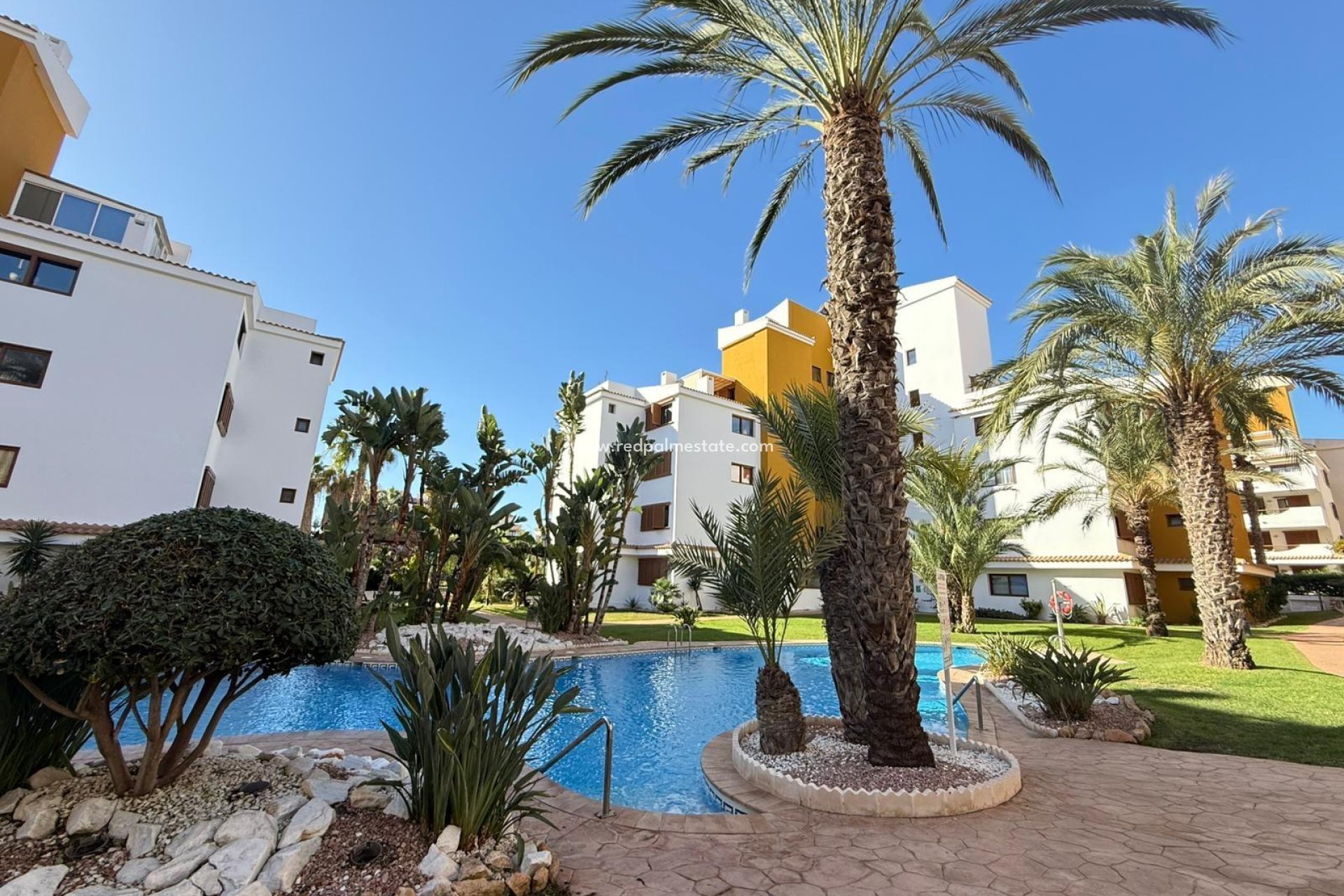 Reventa - Apartmentos -
Torrevieja - Punta prima