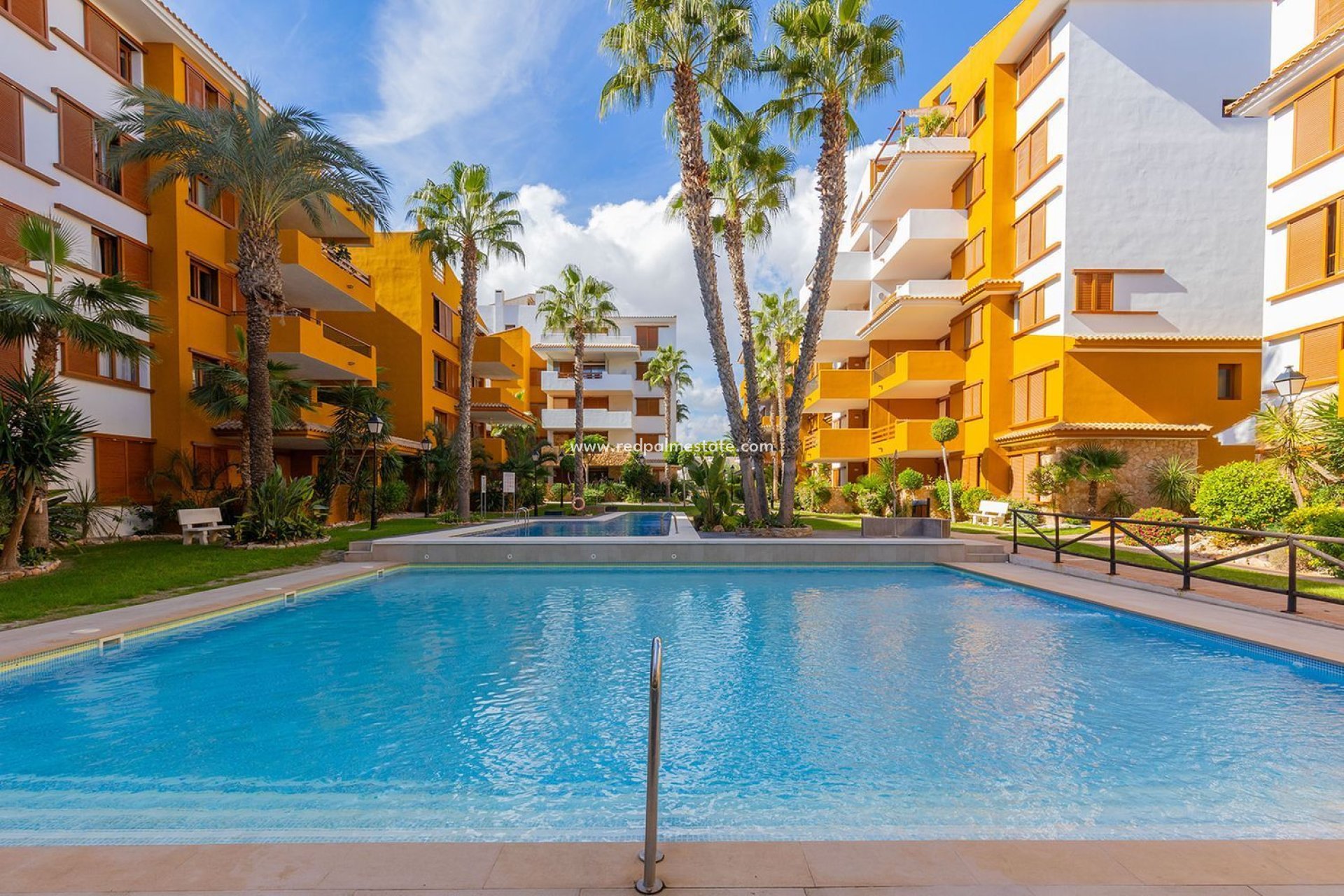 Reventa - Apartmentos -
Torrevieja - Punta prima