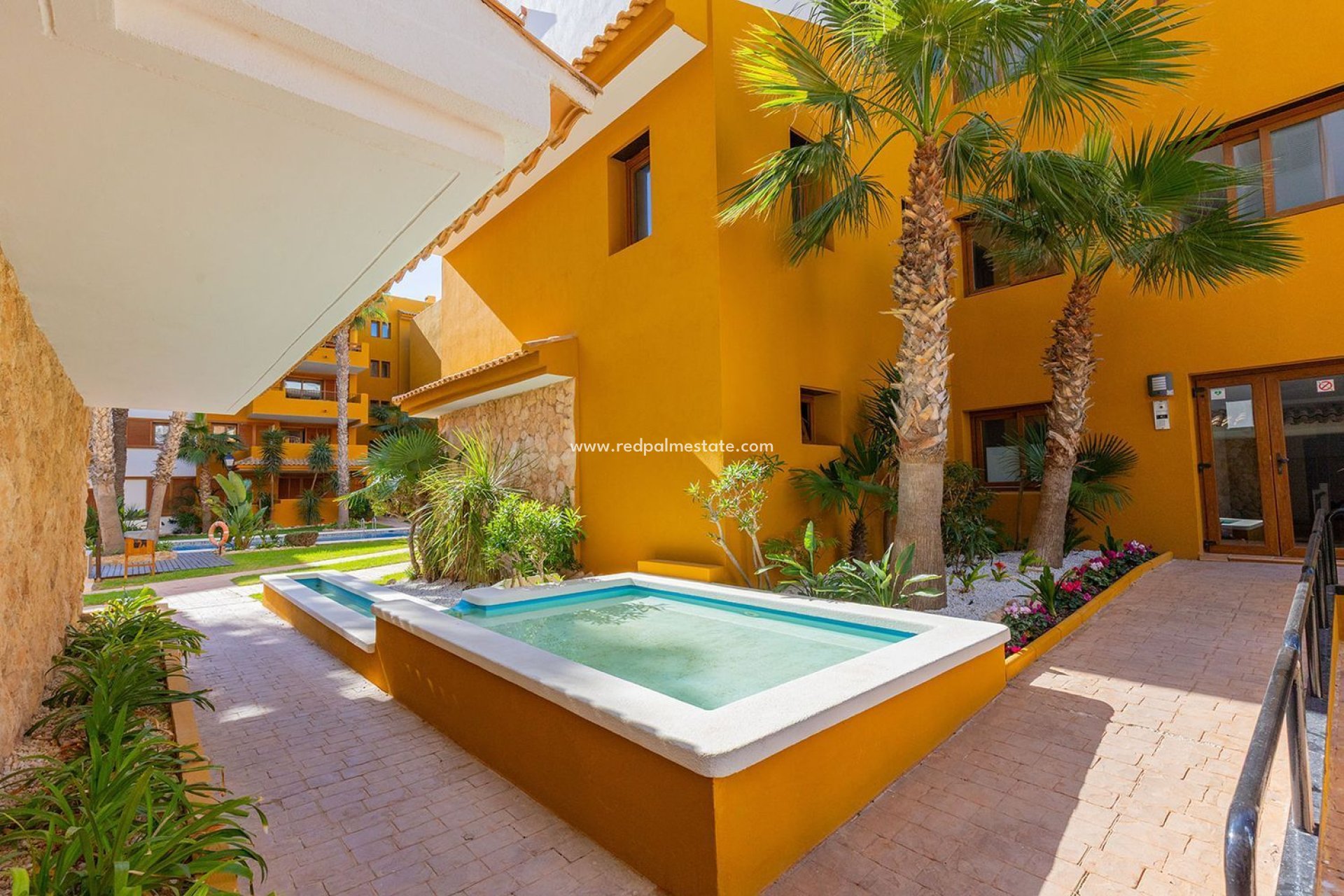 Reventa - Apartmentos -
Torrevieja - Punta prima