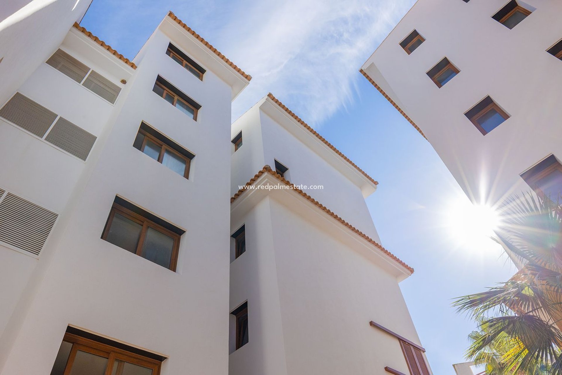 Reventa - Apartmentos -
Torrevieja - Punta prima