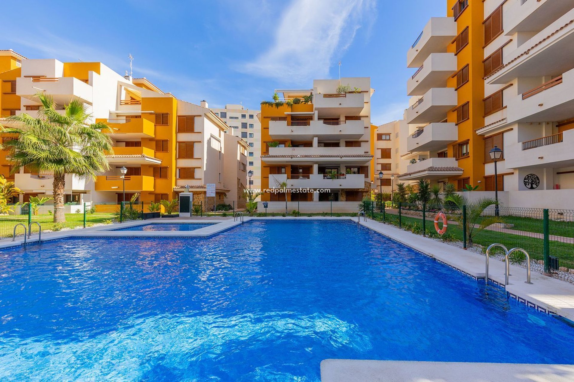 Reventa - Apartmentos -
Torrevieja - Punta prima