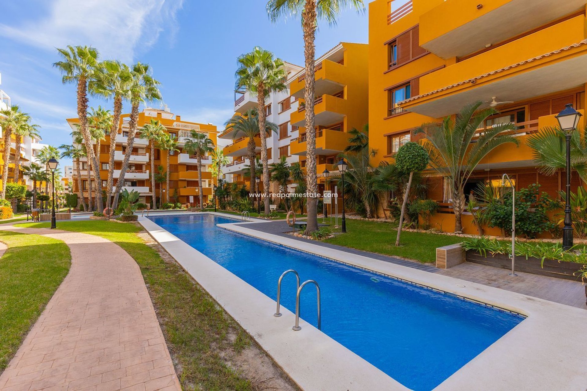 Reventa - Apartmentos -
Torrevieja - Punta prima