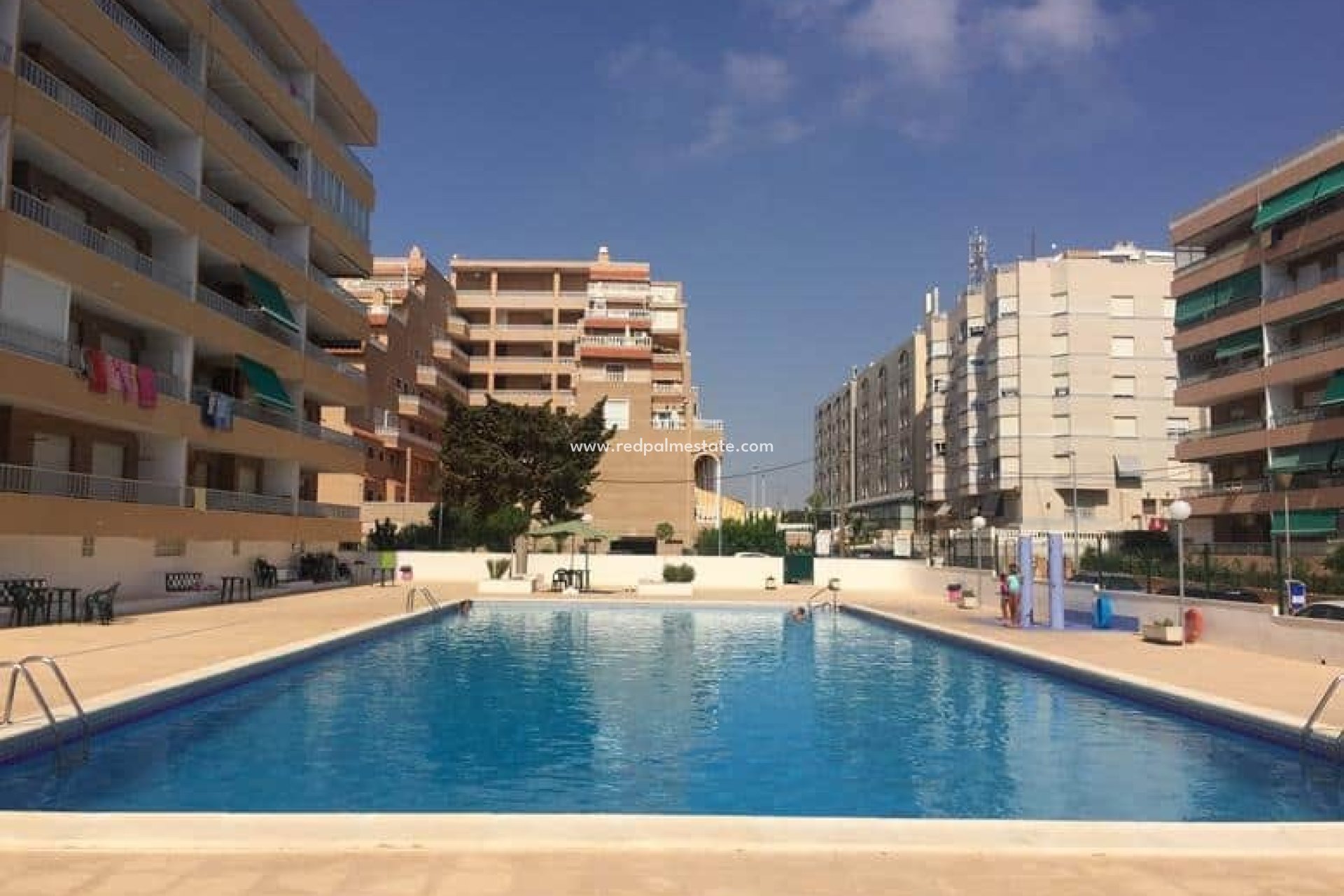 Reventa - Apartmentos -
Torrevieja - Punta prima