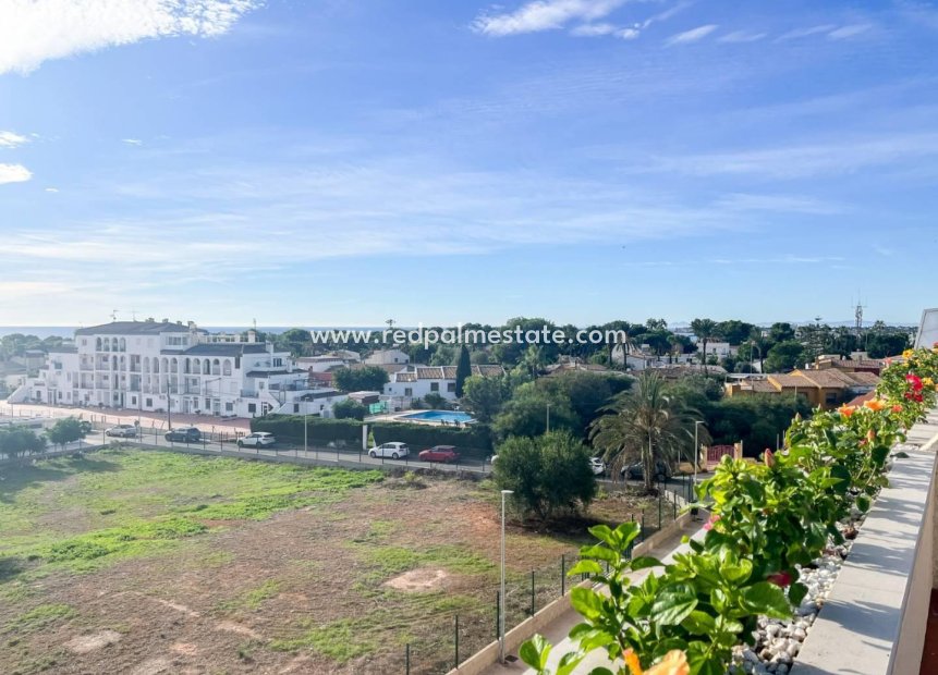 Reventa - Apartmentos -
Torrevieja - Punta prima