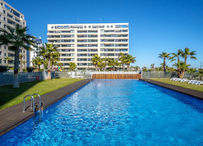 Reventa - Apartmentos -
Torrevieja - Punta prima