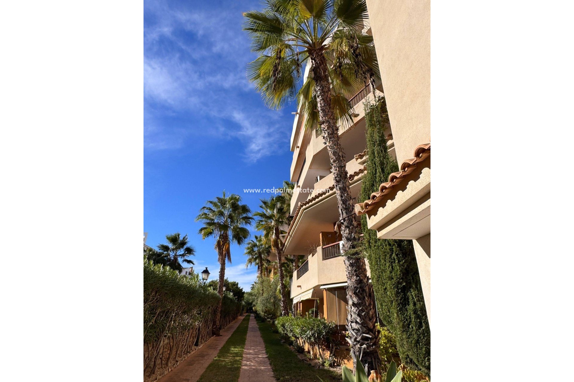 Reventa - Apartmentos -
Torrevieja - Punta prima