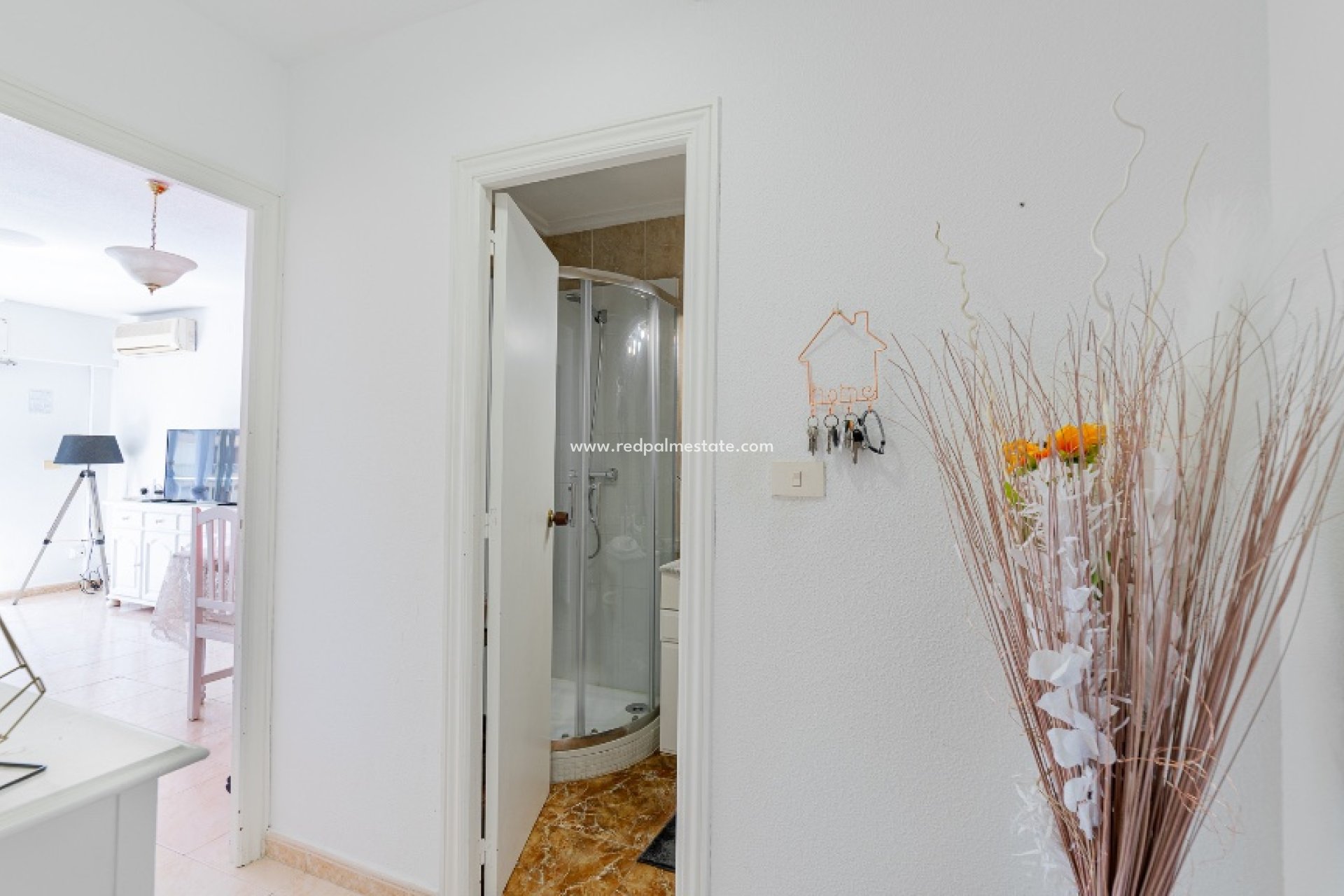 Reventa - Apartmentos -
Torrevieja - Punta prima