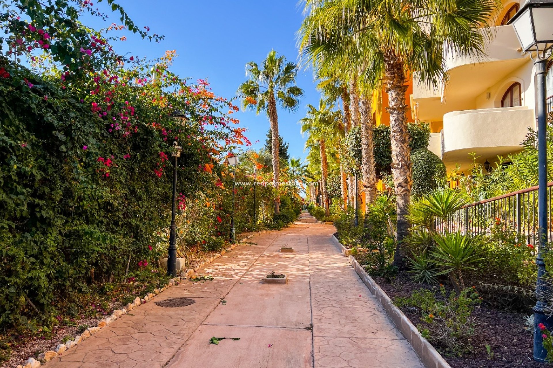 Reventa - Apartmentos -
Torrevieja - Punta prima