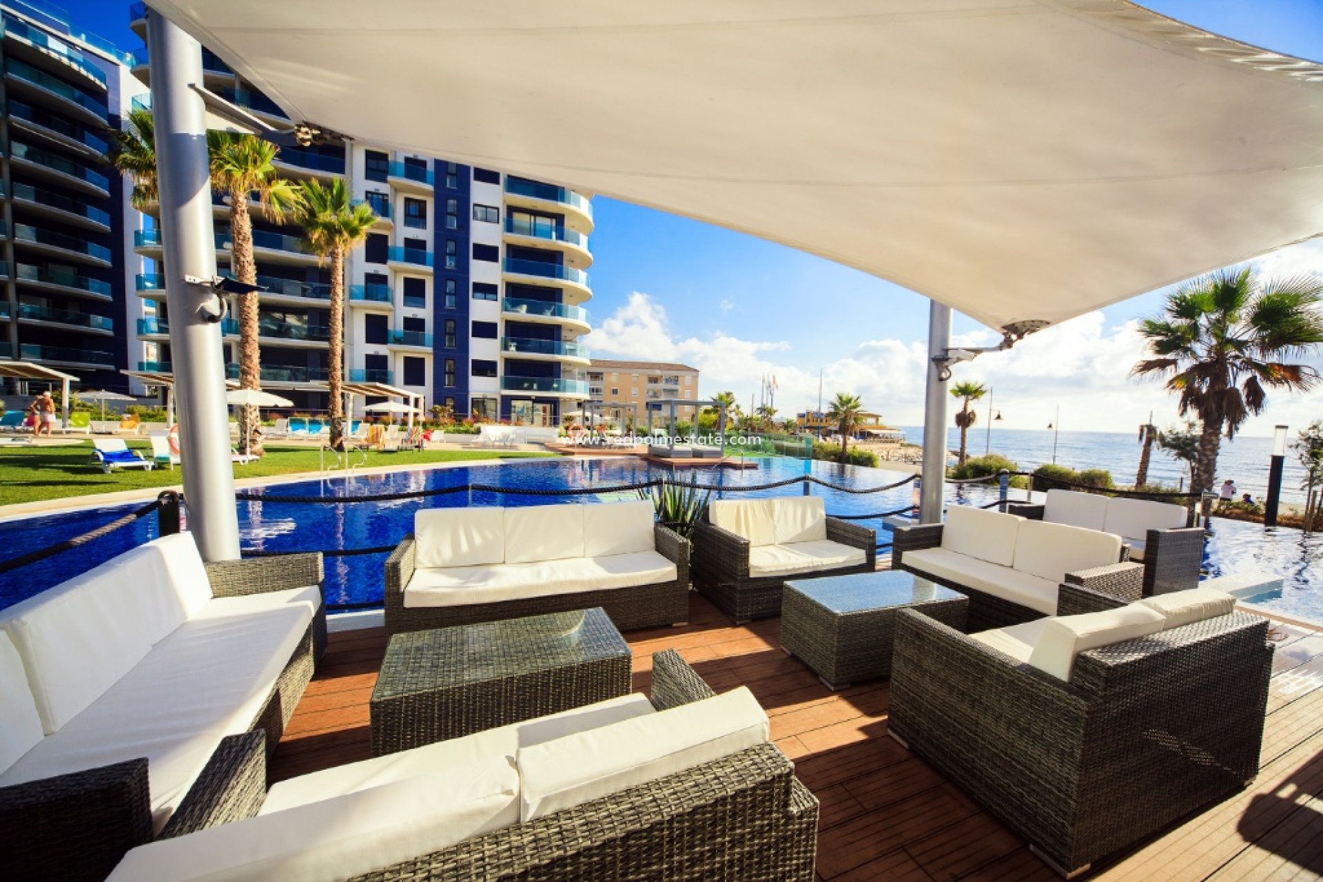 Reventa - Apartmentos -
Torrevieja - Punta prima