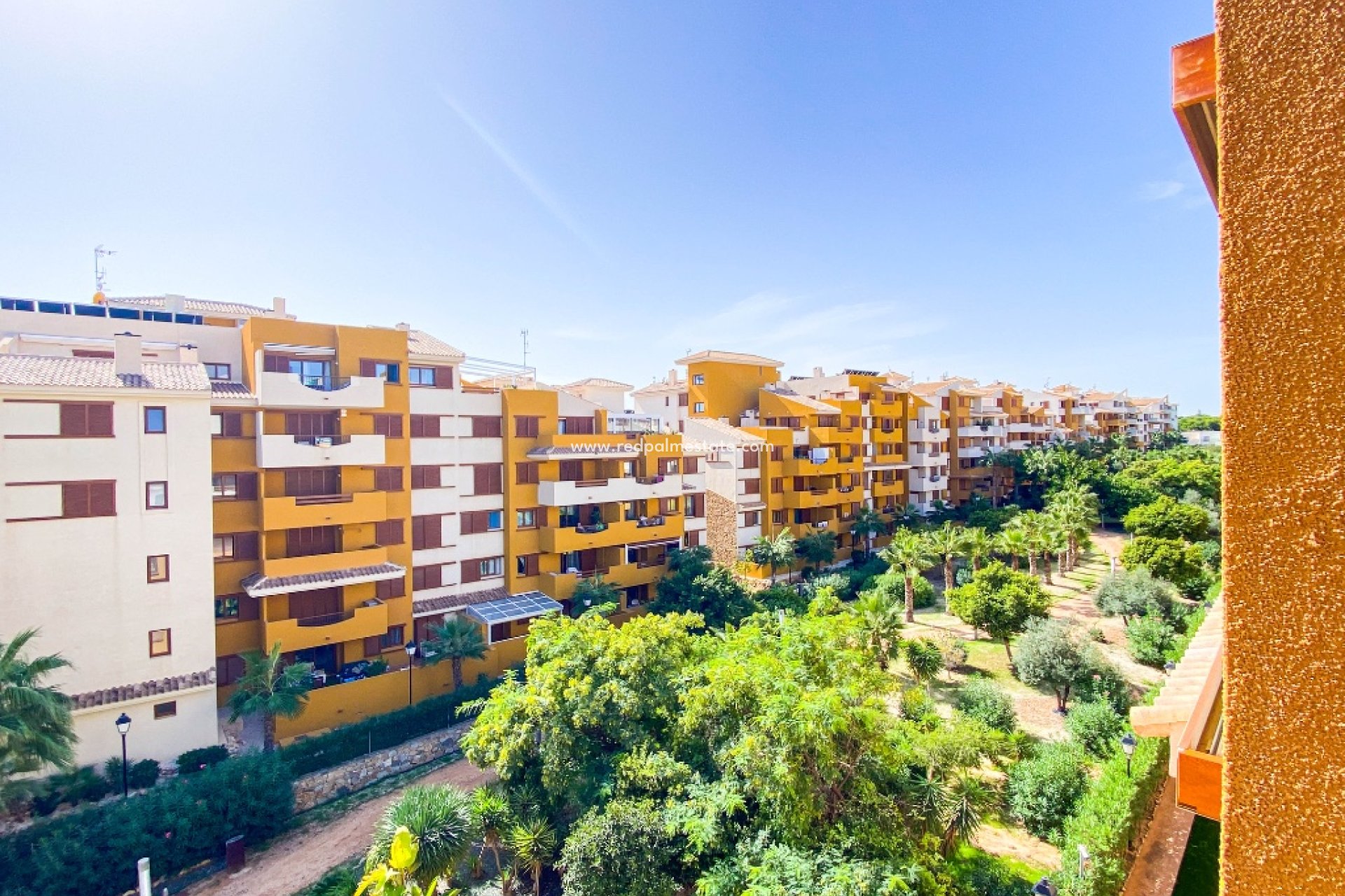 Reventa - Apartmentos -
Torrevieja - Punta prima