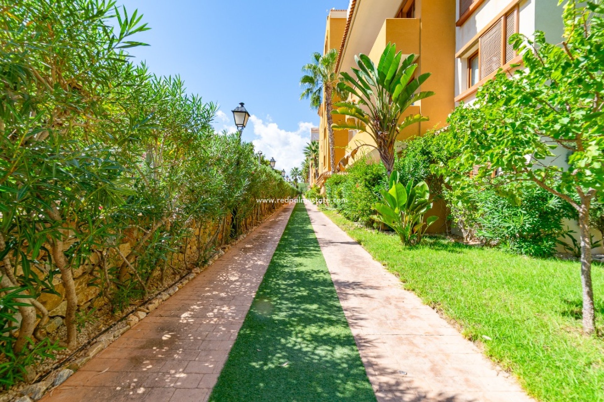 Reventa - Apartmentos -
Torrevieja - Punta prima