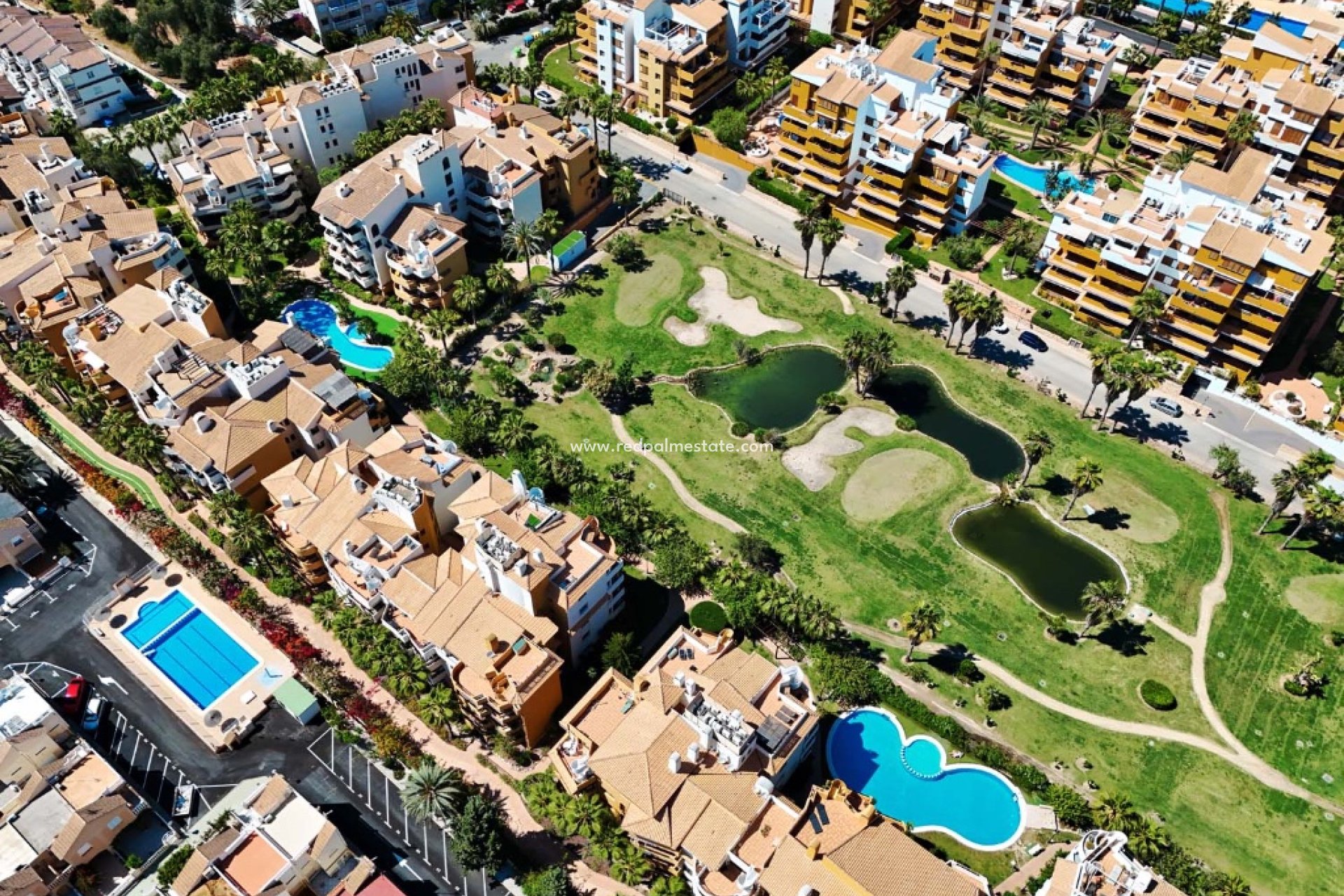 Reventa - Apartmentos -
Torrevieja - Punta prima