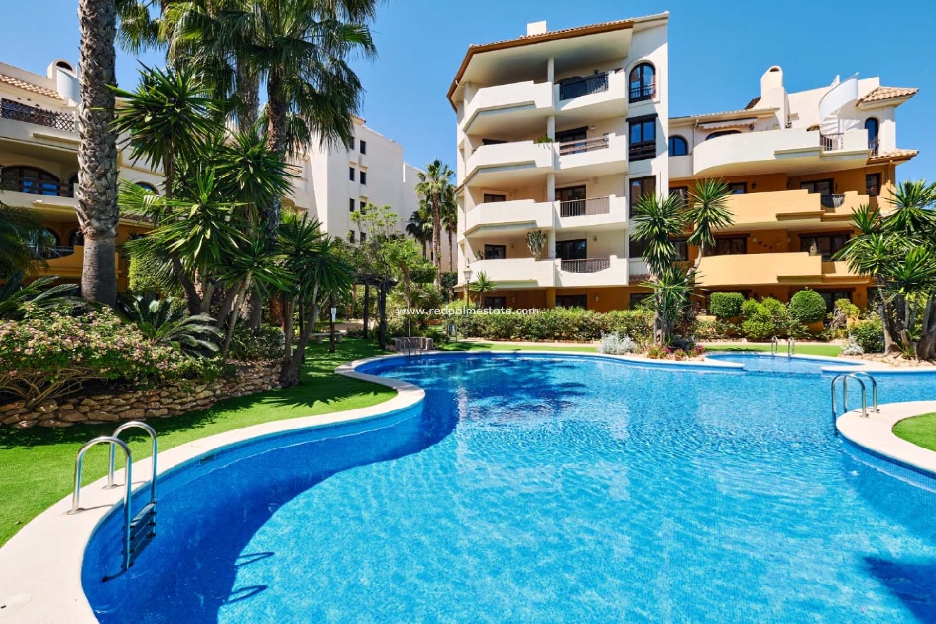 Reventa - Apartmentos -
Torrevieja - Punta prima