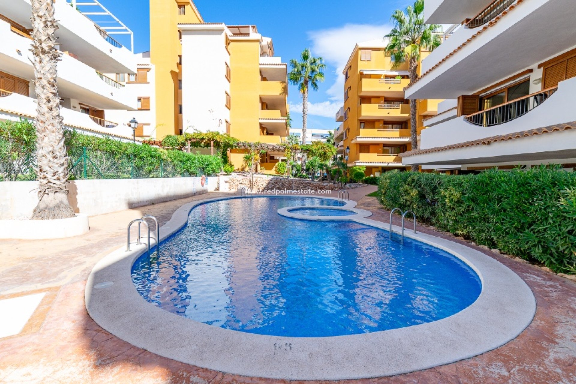 Reventa - Apartmentos -
Torrevieja - Punta prima