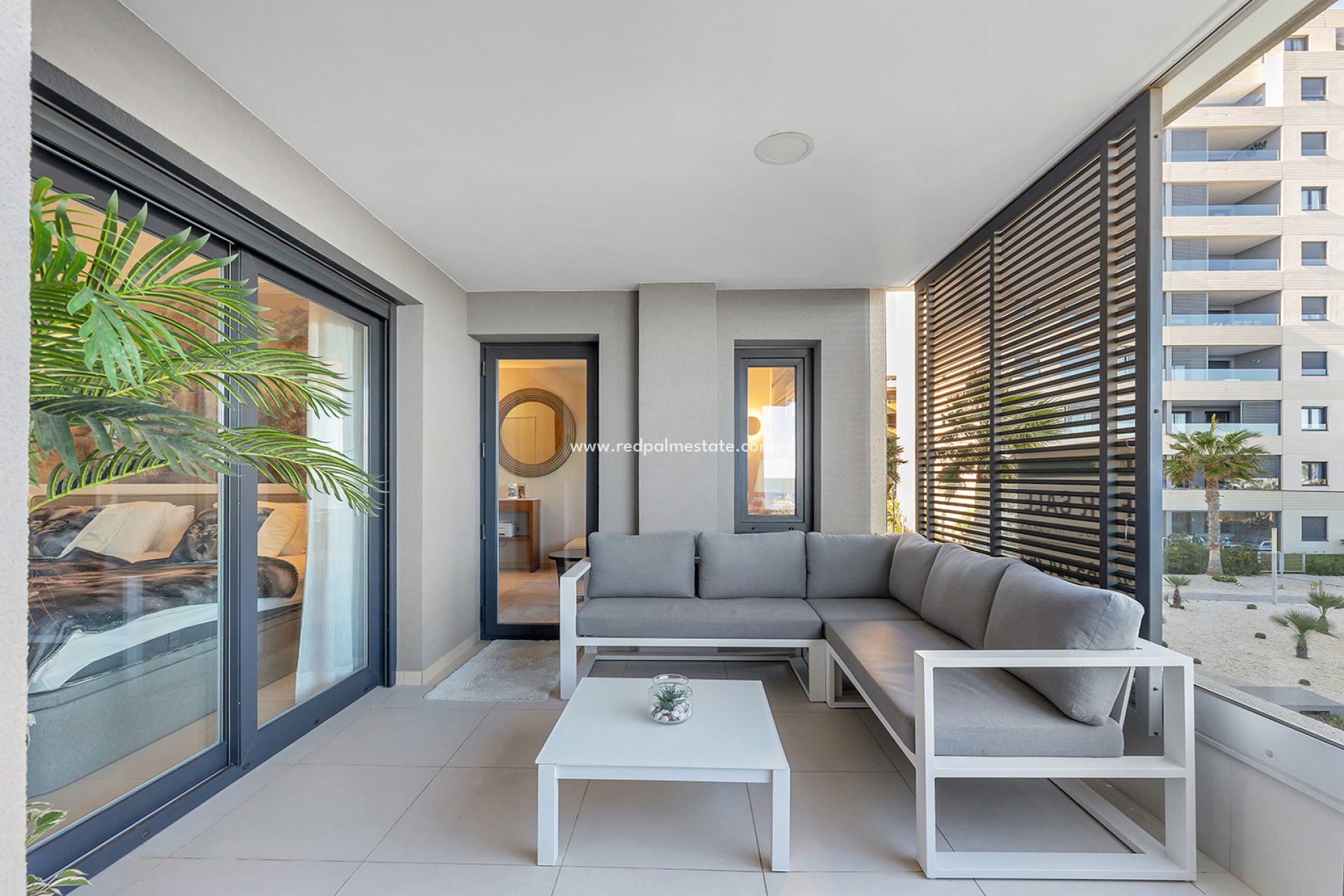 Reventa - Apartmentos -
Torrevieja - Punta prima