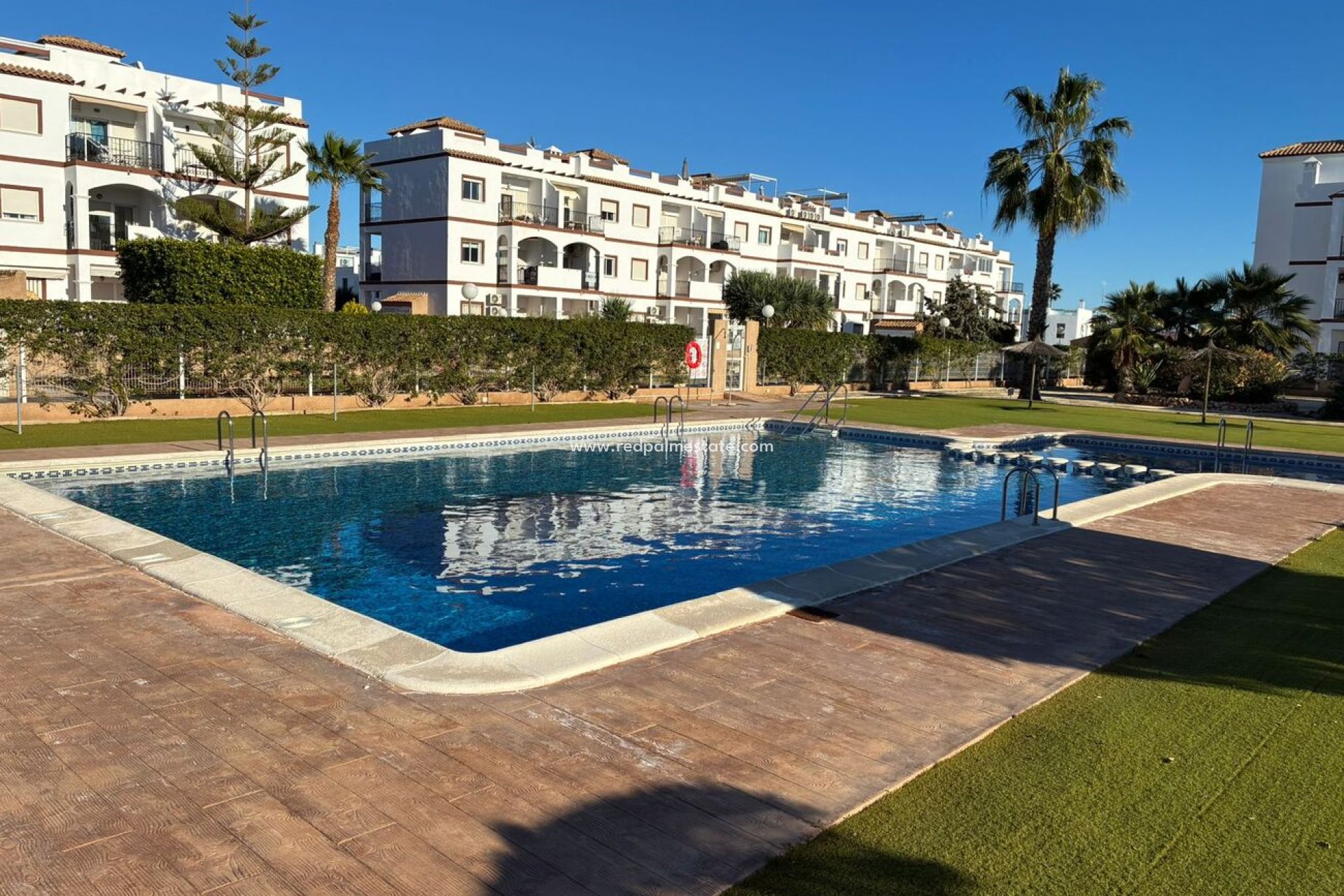 Reventa - Apartmentos -
Torrevieja - Punta prima