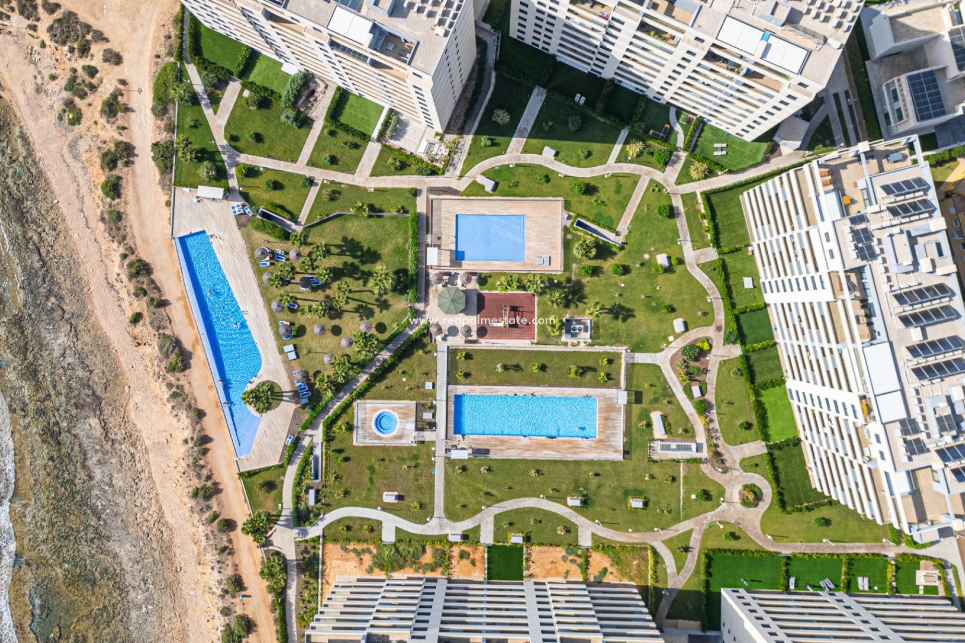 Reventa - Apartmentos -
Torrevieja - Punta prima