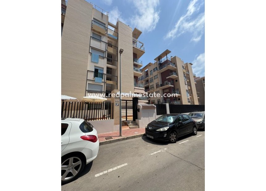 Reventa - Apartmentos -
Torrevieja - Punta prima