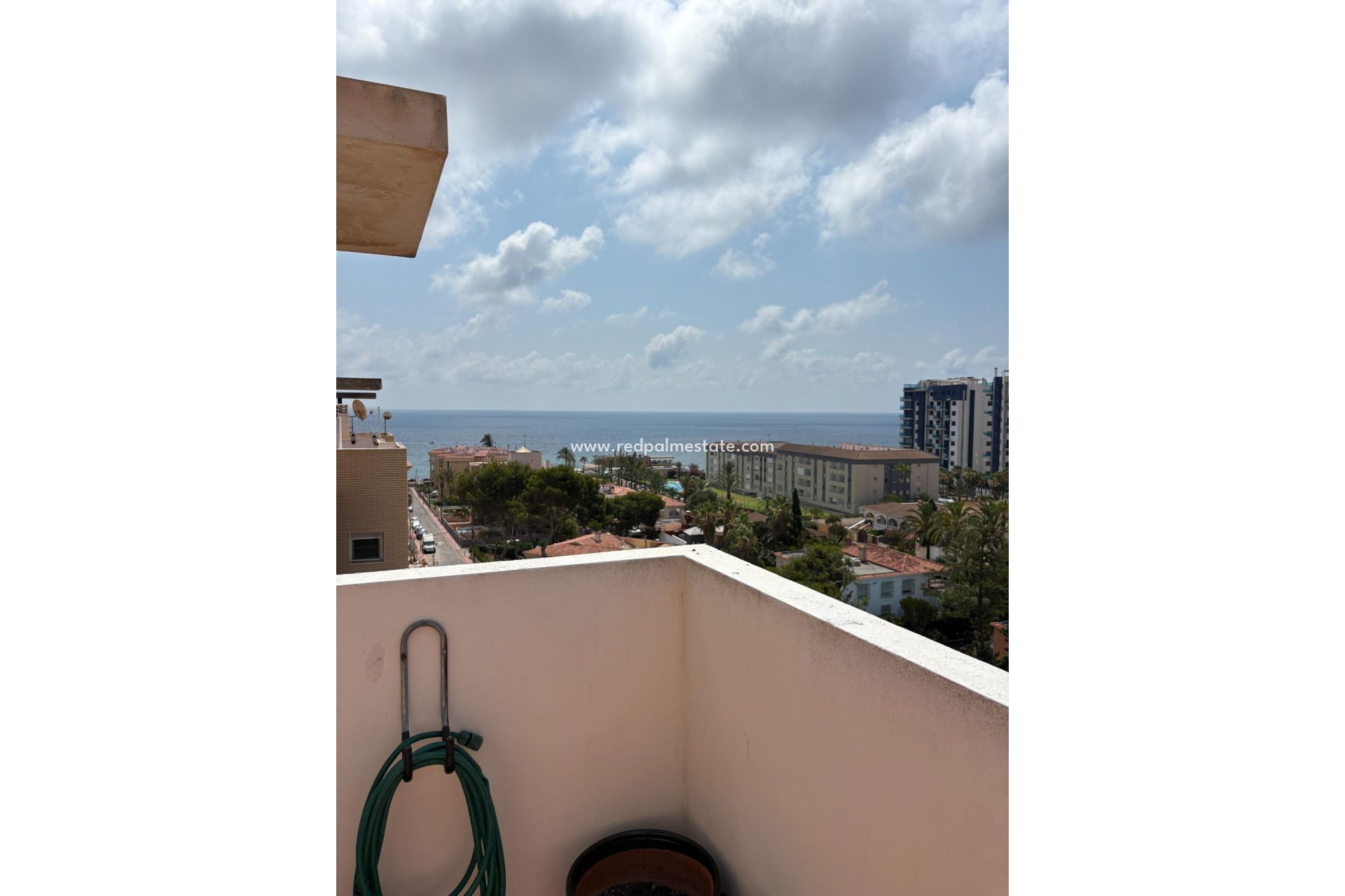 Reventa - Apartmentos -
Torrevieja - Punta prima