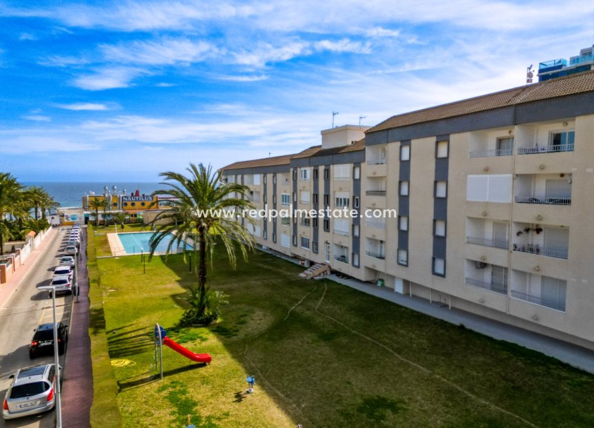Reventa - Apartmentos -
Torrevieja - Punta prima