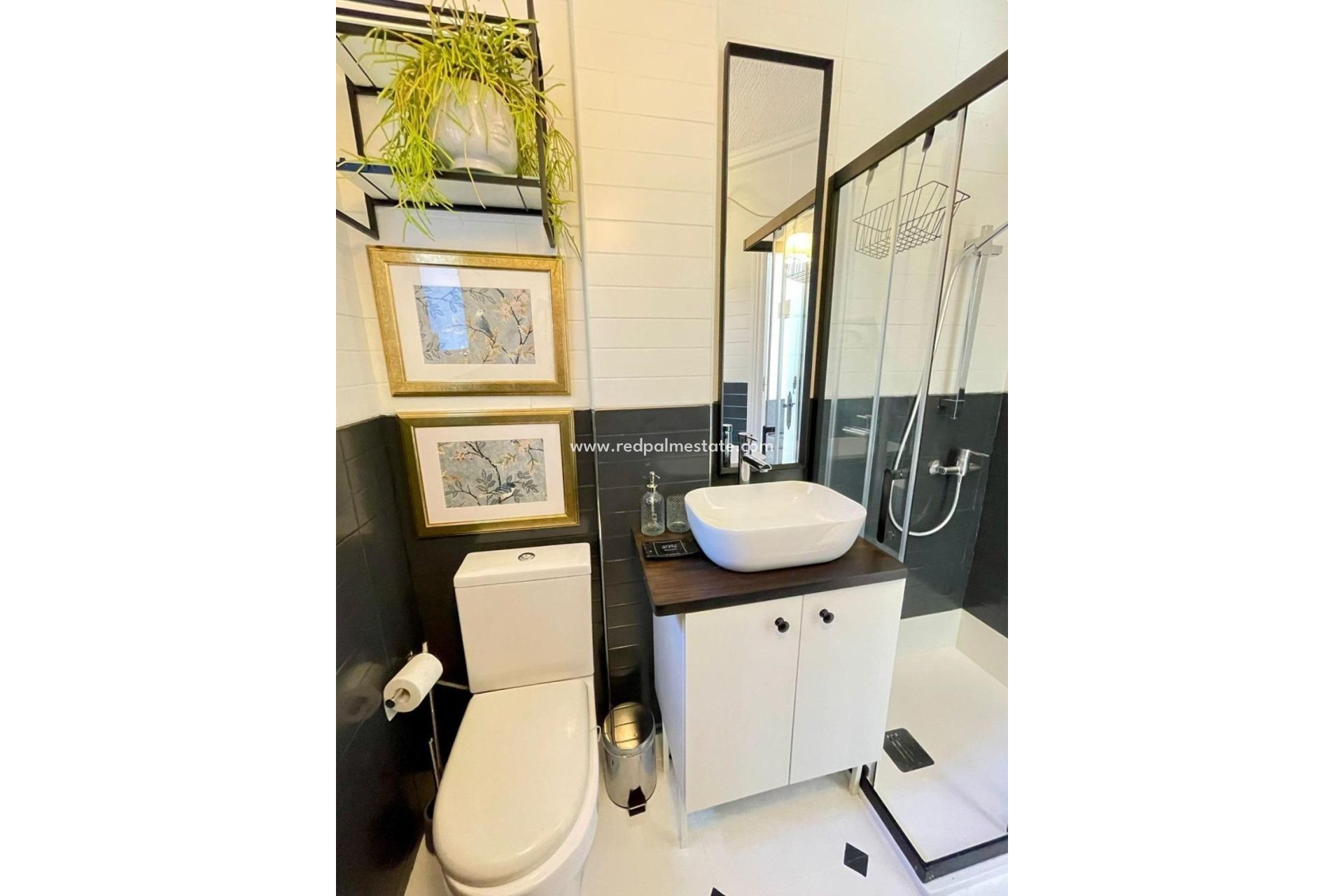 Reventa - Apartmentos -
Torrevieja - Punta prima