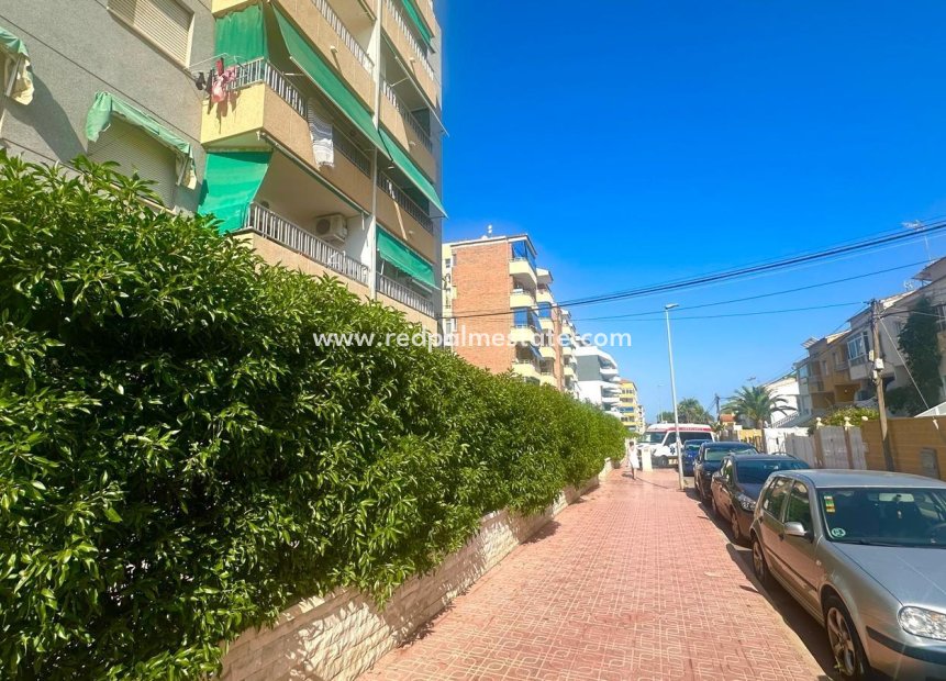 Reventa - Apartmentos -
Torrevieja - Punta prima