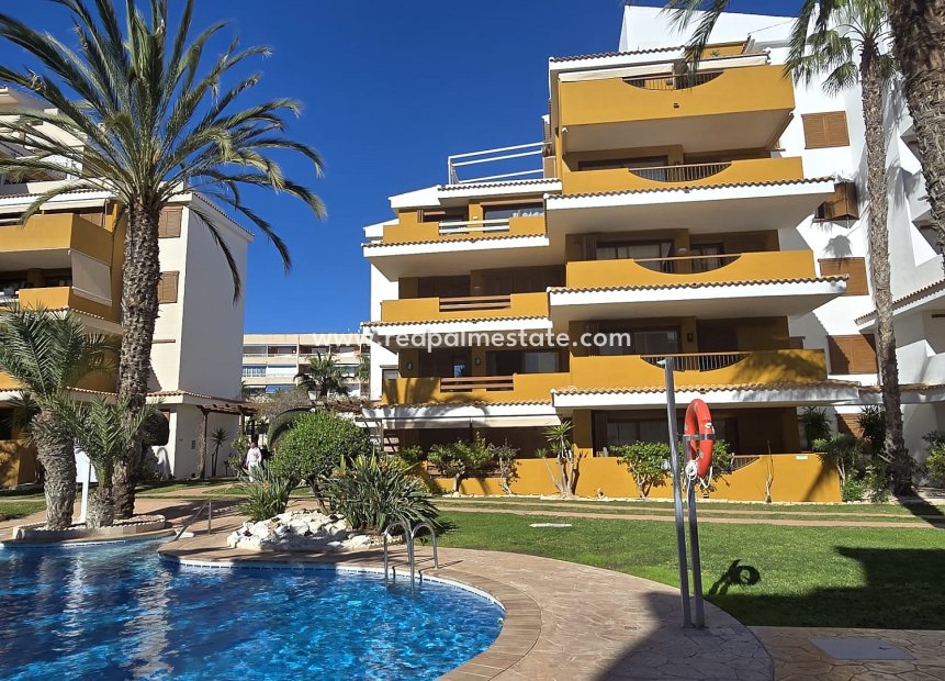 Reventa - Apartmentos -
Torrevieja - Punta prima