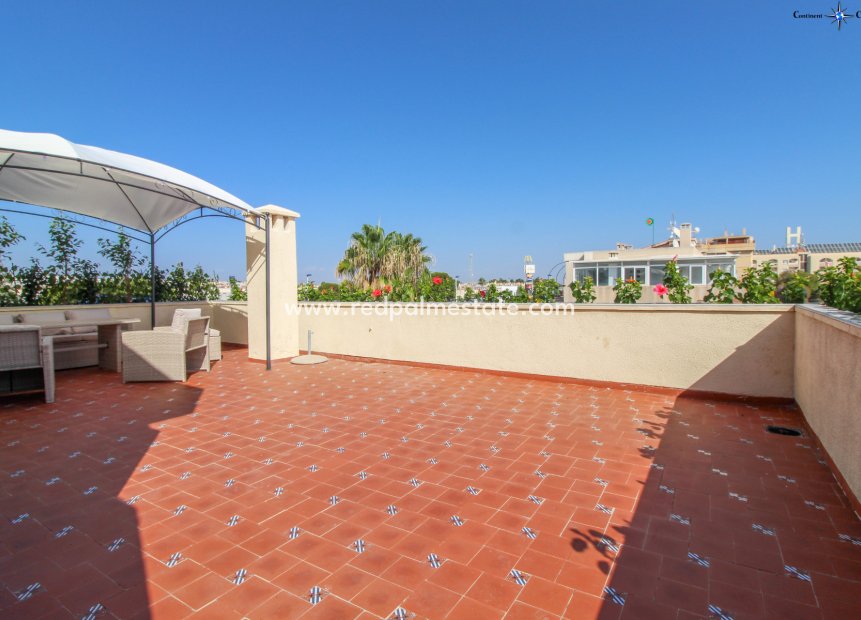 Reventa - Apartmentos -
Torrevieja - Punta prima